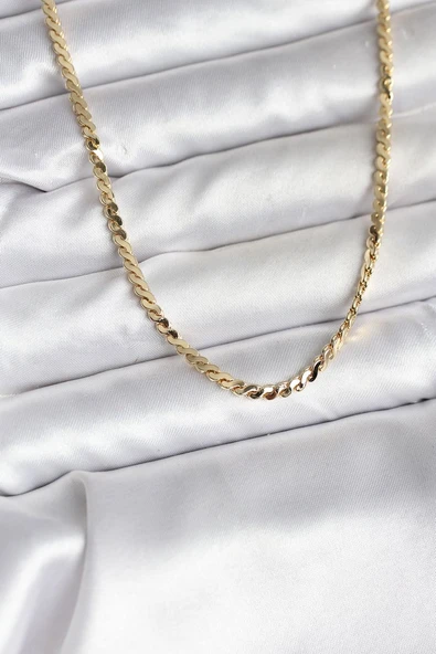 14K Gold Renk Kaplama Ezme Yılan Zincir Model CM Kadın Kolye Vice1395 4897 ürün görseli 1
