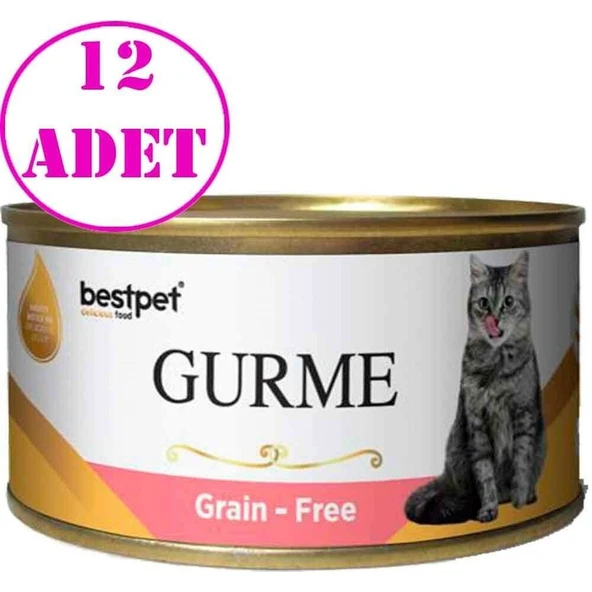 Bestpet  Gurme Kedi Konservesi Somonlu Sterilised 100 gr 12 Ad ürün görseli 1