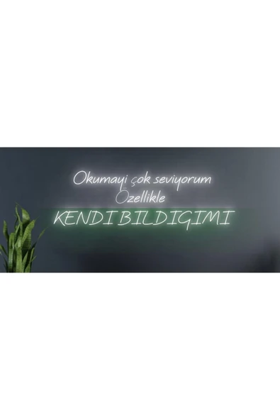 Okumayı Çok Seviyorum Özellikle Kendi Bildiğimi Yazılı Neon Tabela ürün görseli 1