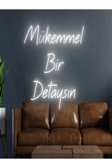 Mükemmel Bir Detaysın Yazılı Neon Tabela ürün görseli 1