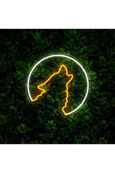 Kurt Figürlü Neon Tabela - Resim 2