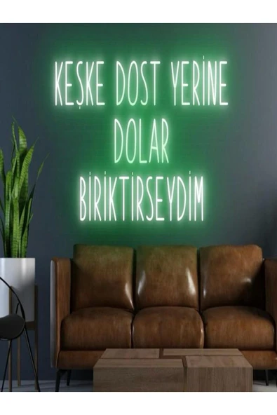 KEŞKE DOST YERİNE DOLAR BİRİKTİRSEYDİM Yazılı Neon Tabela ürün görseli 1