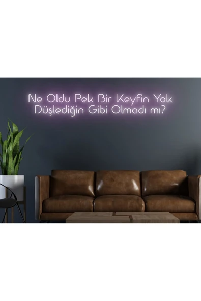 Ne Oldu Pek Bir Keyfin Yok Düşlediğin Gibi Olmadı Mı? Yazılı Neon Tabela ürün görseli 1