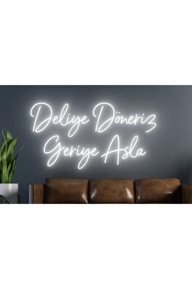 Deliye Döneriz Geriye Asla Yazılı Neon Tabela ürün görseli 1