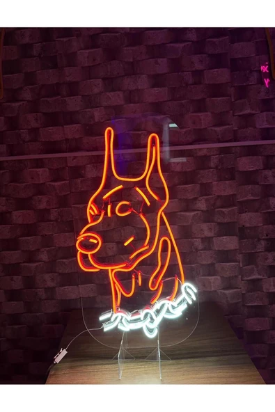 Doberman Köpek Pleksi Neon Tabela - Resim 3