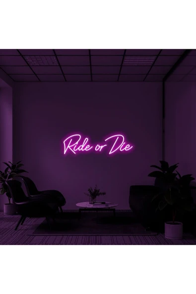 Ride or Die Yazılı Neon Tabela ürün görseli 1