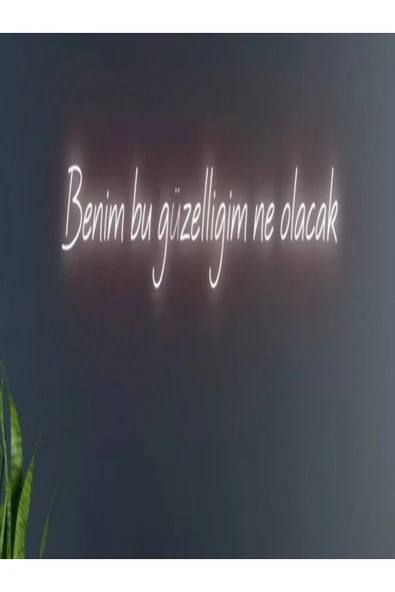 Benim Bu Güzelliğim Ne Olacak Yazılı Neon Tabela ürün görseli 1