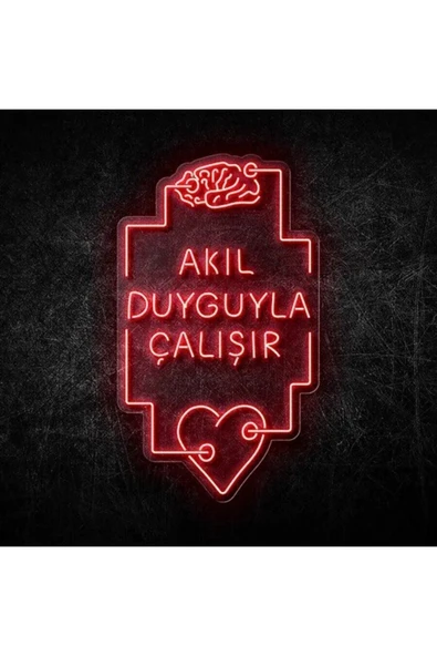 AKIL DUYGUYLA ÇALIŞIR Yazılı ve Şekilli Neon Tabela ürün görseli 1