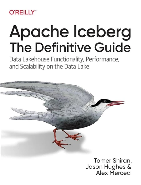 Apache Iceberg: The Definitive Guide - Shiran, Hughes, Merced ürün görseli 1