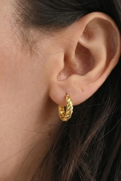 925 Ayar Gümüş küpe Üzeri Altın Kaplama Retro Görünümlü Burgu Modeli Küpe SGTL13198GOLD ürün görseli 1