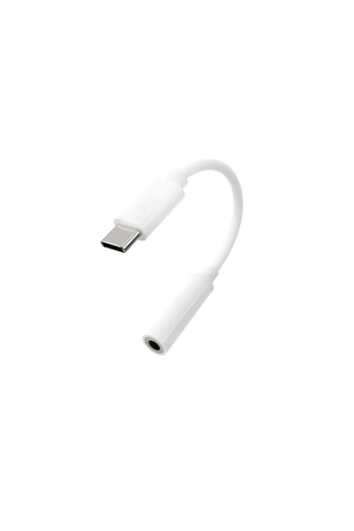 Qpen LS30 Aux to Type-C Dönüştürücü ürün görseli 1