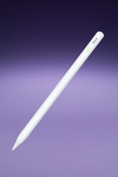 Manyetik Kablosuz Şarj Özellikli 2018 ve Sonrası iPad ile Uyumlu Stylus Kalem ürün görseli 1
