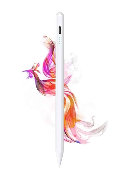 iPad Stylus Kalem Avuç İçi Reddetme ve Eğim Hassasiyetli Dokunmatik iPad Tablet Kalemi ürün görseli 1