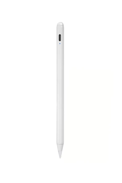 iPad Uyumlu Avuç içi Reddeden Eğim Hassasiyetli Manyetik Yapışan Dokunmatik Yazım ve Çizim Kalem ürün görseli 1