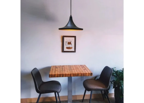 RİOLİGHT RETRO,RUSTİK,VİNTAGE ODALAR CAFELER İÇİN SİYAH TEKLİ METAL SARKIT AVİZE ürün görseli 1