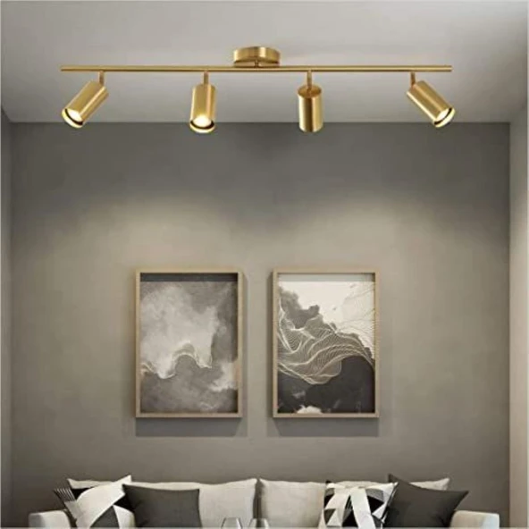 RİOLİGHT MODERN MATT ALTIN KAPLAMA GÜN IŞIĞI LED AMPÜL HAREKETLİ BAŞLIK SPOT AMPÜL DAHİLDİR ürün görseli 1