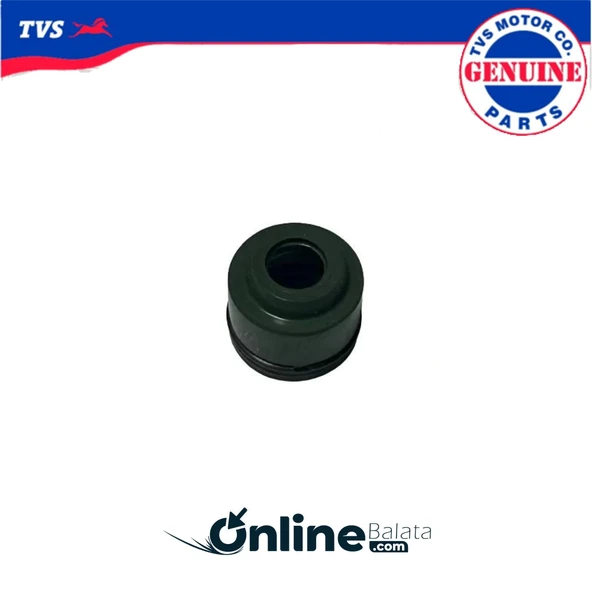 Tvs Raider 125 Duman Lastik 1 Adet N3012050 OBTVS016 ürün görseli 1