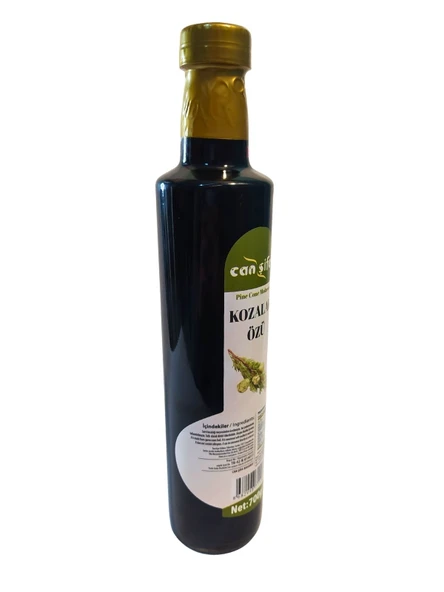 Canşifa Kozalak Özü 700 GR - Resim 2