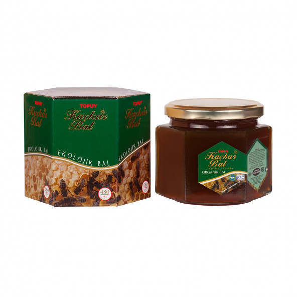 Organic kaçkar forest honey 480 gr ürün görseli 1