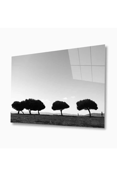 Doğa Cam Tablo 4mm Dayanıklı Temperli Cam ürün görseli 1
