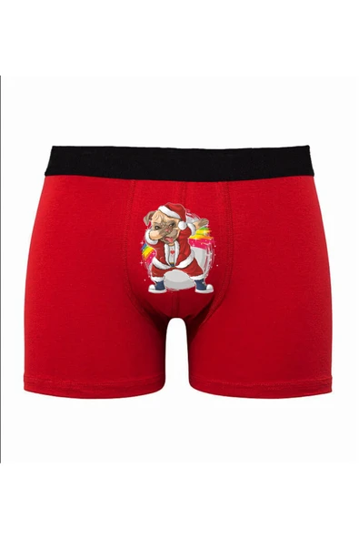 TexKid Köpek Baskılı Yılbaşı Eğlenceli Erkek Boxer ürün görseli 1