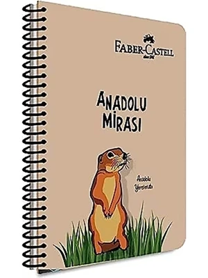 Faber Castell Defter A. Mirası Pp Kapak Spiralli 100 Yaprak Çizgili 5075000485000 ürün görseli 1
