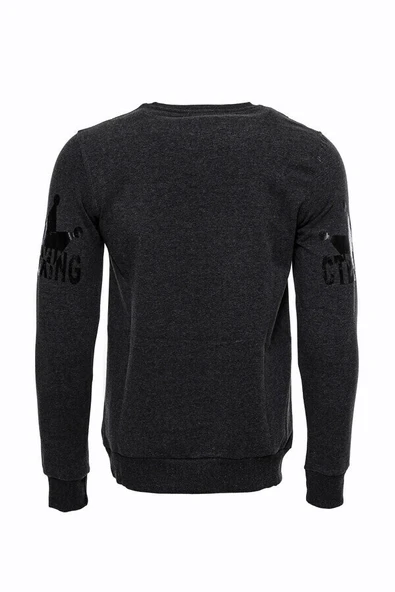 Gri Taşlı Baskılı Kapşonşlu Sweatshirt - Wessi - Resim 3
