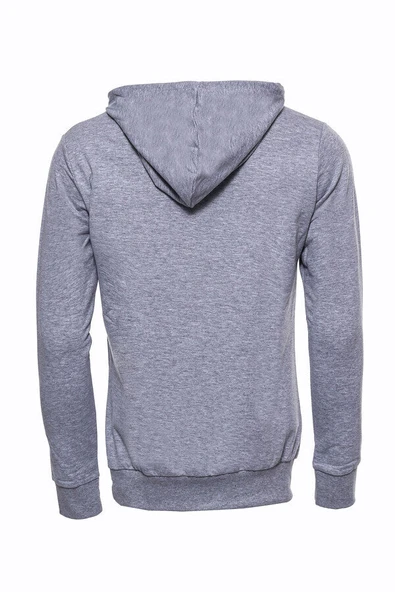 Gri Taşlı Baskılı Kapşonşlu Sweatshirt - Wessi - Resim 5