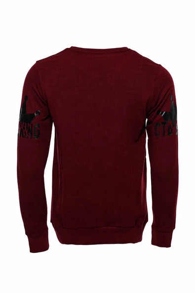 Bordo Taşlı Baskılı Sweatshirt - Wessi - Resim 3