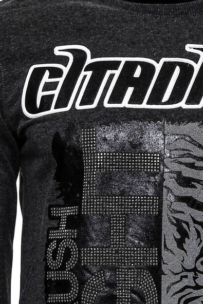 Gri Taşlı Baskılı Kapşonşlu Sweatshirt - Wessi - Resim 2