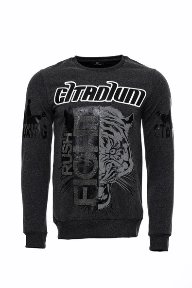 Gri Taşlı Baskılı Kapşonşlu Sweatshirt - Wessi ürün görseli 1