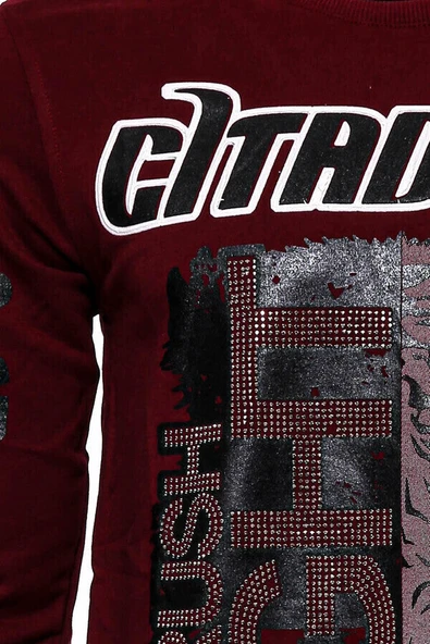 Bordo Taşlı Baskılı Sweatshirt - Wessi - Resim 2