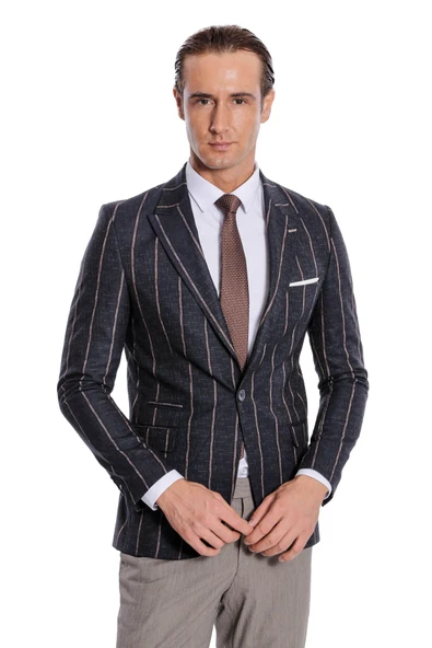 Çizgili Slim Fit Füme Erkek Ceket - Wessi ürün görseli 1