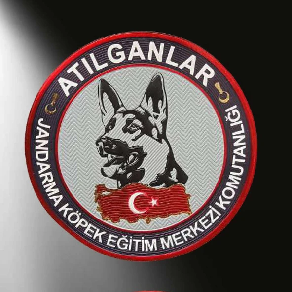 Jandarma Atılganlar 3D Arması, 2025 Yeni Model Tip Cırtlı,standart Ölçü ürün görseli 1