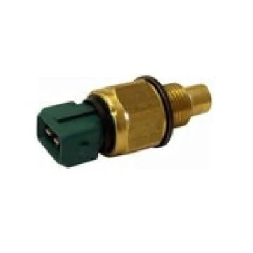 CAREX HARARET MUSURU DW8 YEŞİL PEUGEOT PARTNER 206 306 CITROEN BERLİNGO YM XSARA II JUMPY EXPERT ürün görseli 1