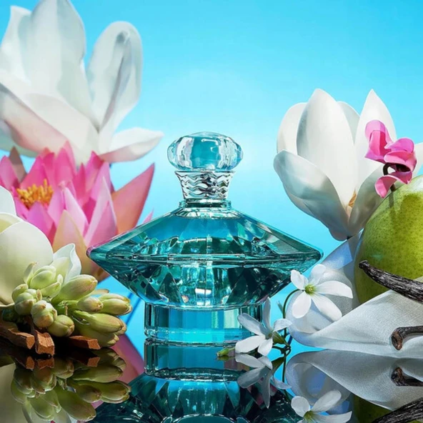 Britney Spears Curious EDP 100 ml Kadın Parfümü - Resim 3