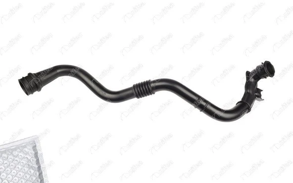 NIFEA TURBO BORUSU RENAULT GRAND SCÉNIC II (JM0/1_) RENAULT MEGANE II (BM0/1_, CM0/1_) RENAULT MEGANE II S ürün görseli 1