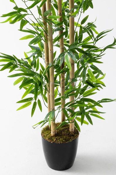 Yapay Bambu Ağacı 180 cm - Resim 5
