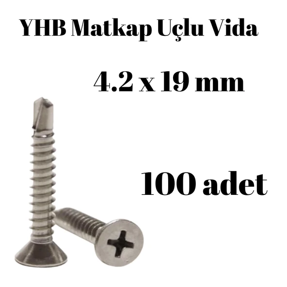 Matkap Uçlu Vida YHB 4.2x19 100'lü Paket ürün görseli 1