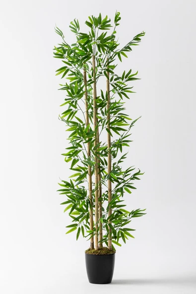Yapay Bambu Ağacı 180 cm ürün görseli 1