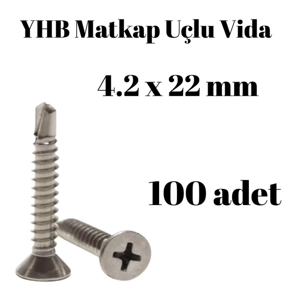 Matkap Uçlu Vida YHB 4.2x22 100'lü Paket ürün görseli 1