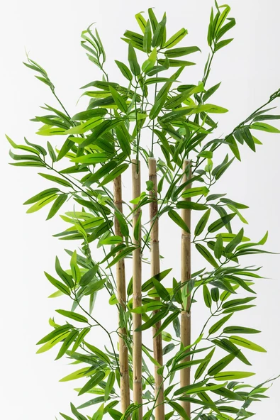 Yapay Bambu Ağacı 180 cm - Resim 3