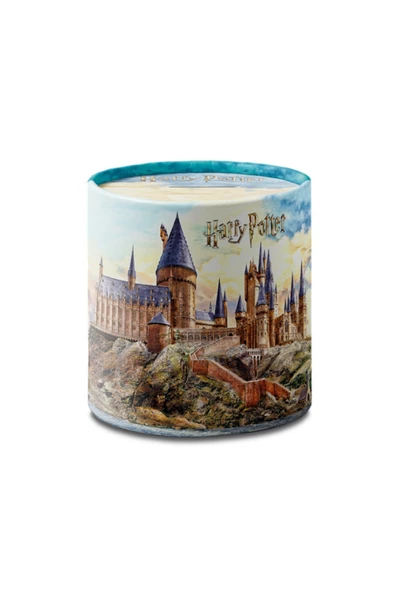 Harry Potter Lisanslı Metal Kumbara ürün görseli 1