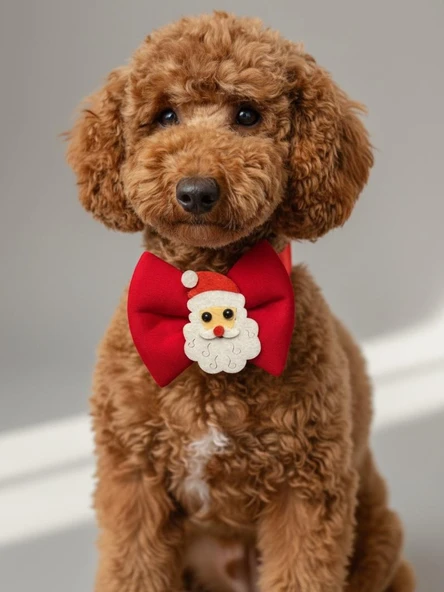 Rudolph Küçük Irk Köpek Papyon Tasması | Kırmızı Fiyonk Boyun Aksesuarı | Noel Temalı Köpek Süsü ürün görseli 1
