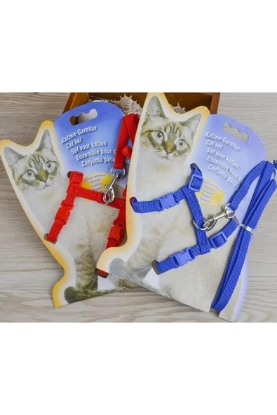 Ayarlanabilir Kedi Boyun ve Göğüs Gezdirme Tasması Renkli ürün görseli 1