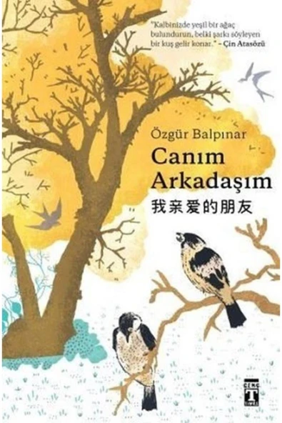 Genç Timaş Canım Arkadaşım - Özgür Balpınar - ürün görseli 1