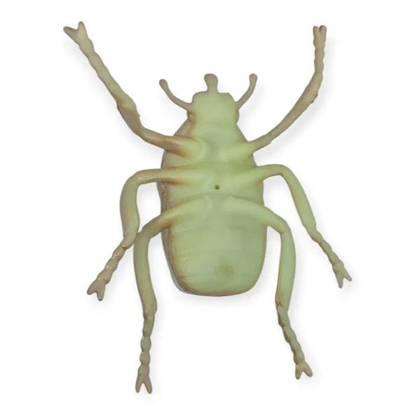 Böcek Figürleri - Gerçekçi Figür - Dev Kabuk Böceği 12 cm - Resim 5