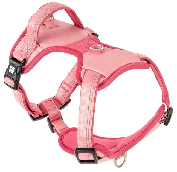 Max Molly Matrix 2.0 Akıllı Künyeli Sport Köpek Göğüs Tasması Rose Small ürün görseli 1