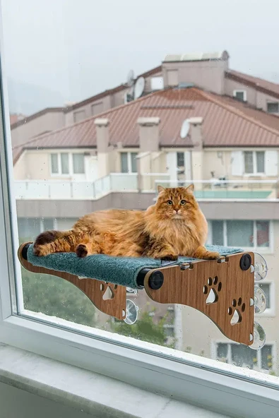 Ata Home Ahşap Cama Yapışan Kedi Yatağı Vantuzlu Cam Yatağı Terası Gri ürün görseli 1