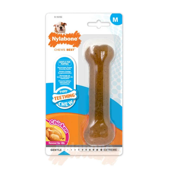 Nylabone Tavuk Aromalı Yavru Köpek Çiğneme Kemiği Medium ürün görseli 1